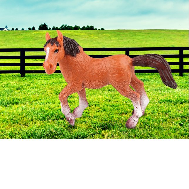 Coussin Mon cheval favori (Créateur téléchargé)
