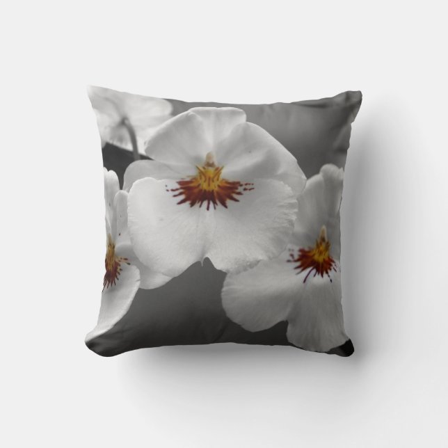 Coussin monochrome de MoJo d'Américain d'orchidées (Recto)
