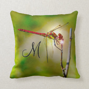 Coussin Monogramme de Dragonlyte