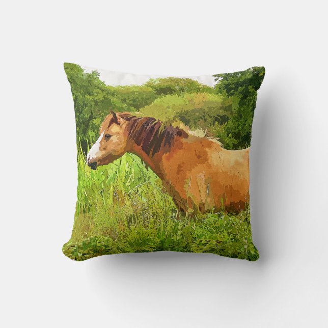 COUSSIN MONTAGNE CHAUDE PONY (Recto)