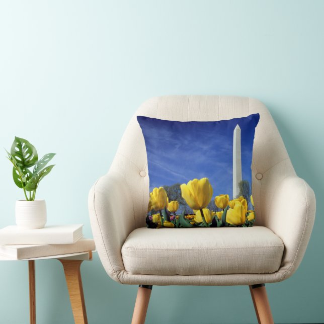 Coussin Monuments | Washington Monument in Spring (Chaise)