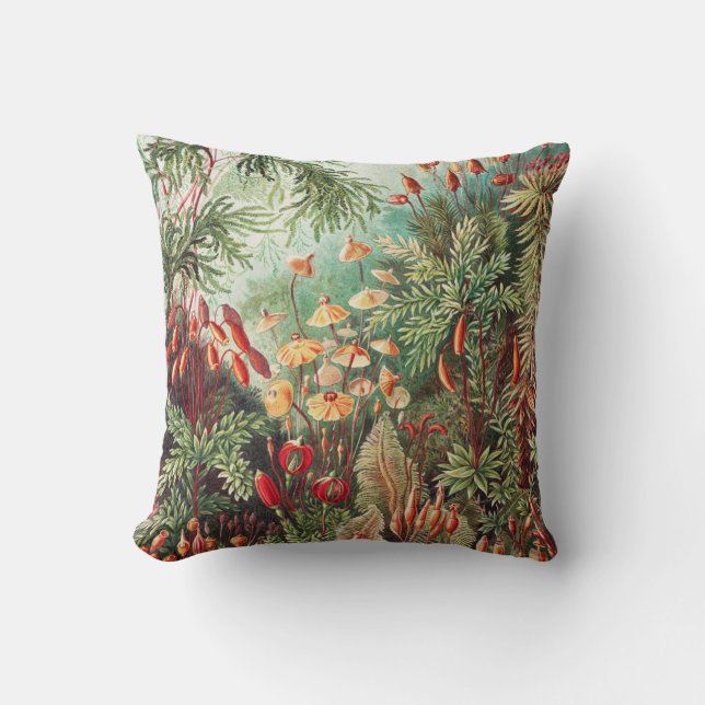 Coussin Mosses, Muscinae Laubmoose par Ernst Haeckel (Recto)