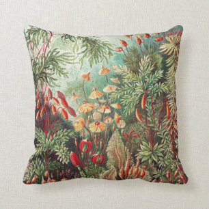 Coussin Mosses, Muscinae Laubmoose par Ernst Haeckel