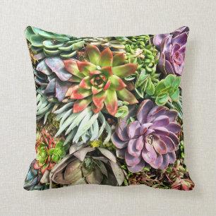 Coussin Motif succulent coloré moderne chic de photo