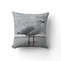 Mouette au bord des eaux