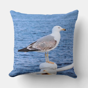 Coussin Mouette Constanta Roumanie – Photographie de la me