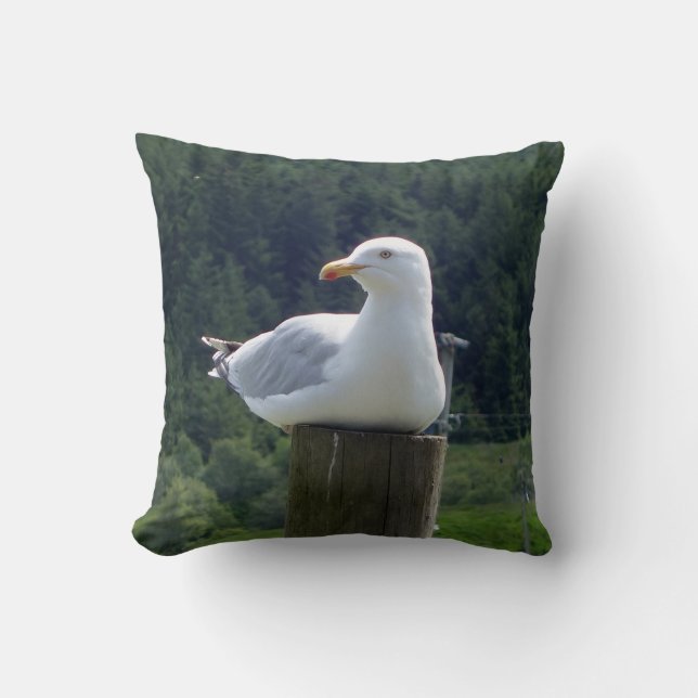 Coussin Mouette Côtière Pittoresque au Repos avec Fond de  (Recto)