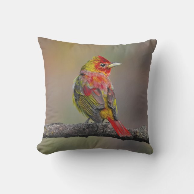 Coussin Moulage de Tangère - Photo originale (Recto)