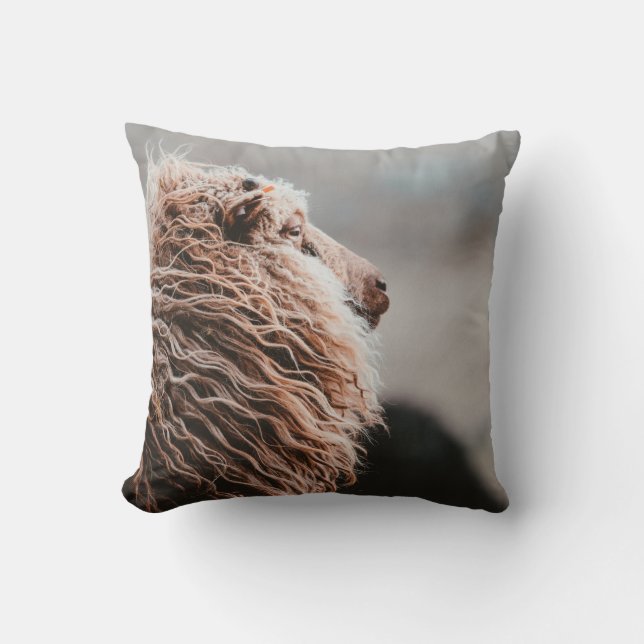 COUSSIN MOUTON (Recto)