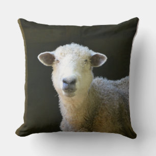 Coussin Moutons adorables