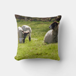 Coussin Moutons Avec Agneaux