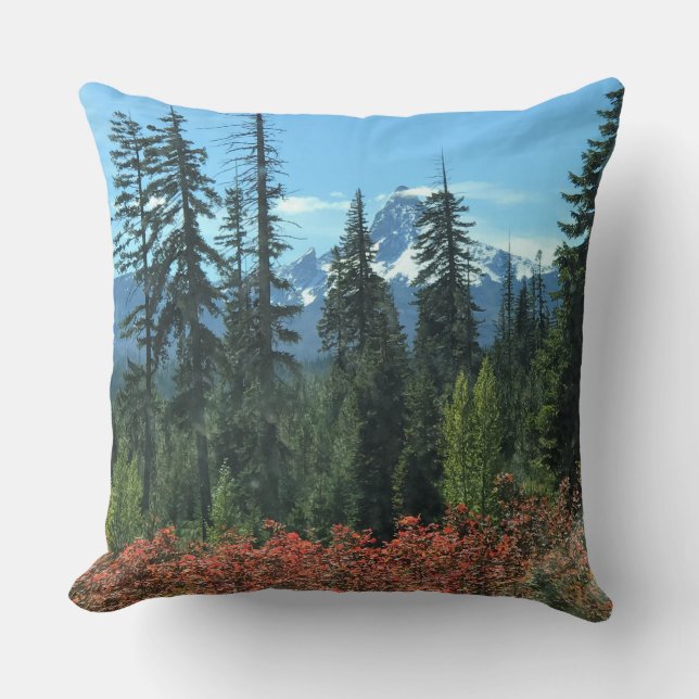 Coussin Mt. Washington en automne, OR (Recto)