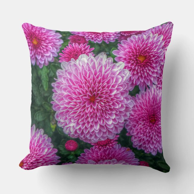 Coussin Mums pourpres (Recto)