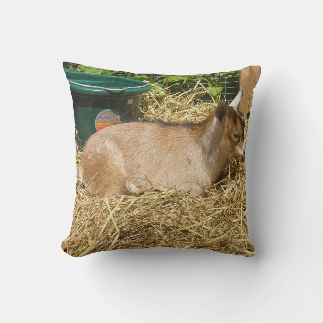 Coussin Murphy (Recto)