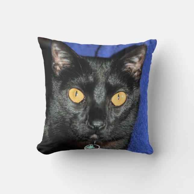 Coussin Murphy (Recto)