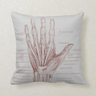Coussin Muscles de doigts de main - anatomie