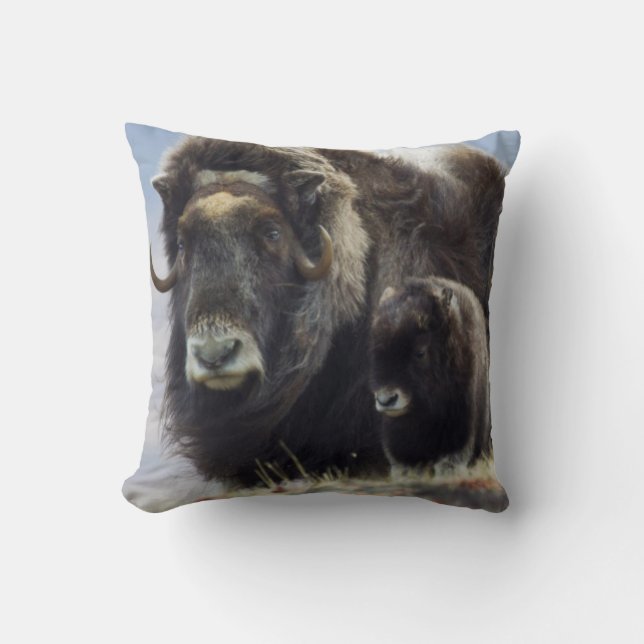 Coussin Musk Ox with Calf (Recto)