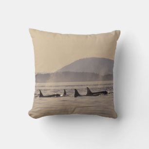 Coussin N.A., États-Unis, Washington, Îles San Juan Orque