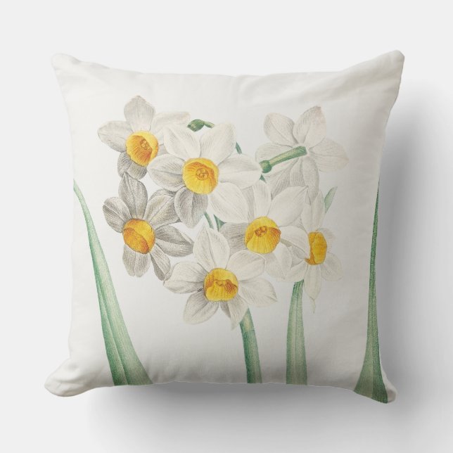 Coussin Narcisse, Pierre-Joseph Redouté, 1805 (Recto)