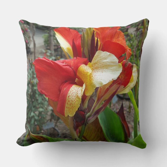 Coussin Nature Fleur Rouge Photographie Florale (Recto)