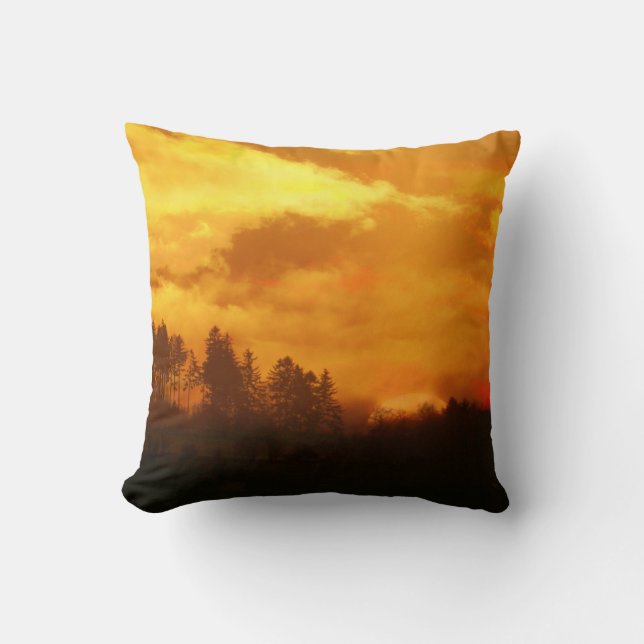 COUSSIN NATURE MATIN SOLEIL LEVANT  (Recto)