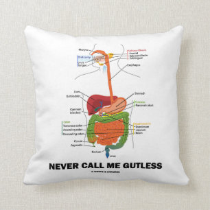 Coussin Ne m'appelez jamais mou (l'humour d'appareil