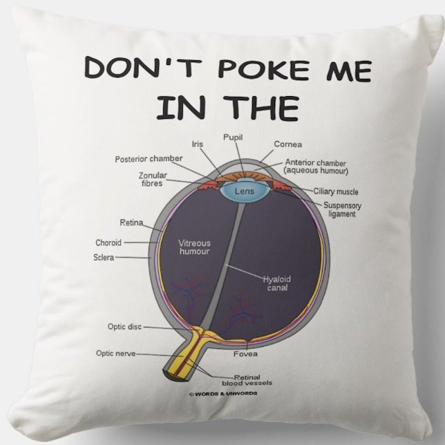 Coussin Ne me jetez pas dans l'Humour (l'anatomie des yeux (Anatomical attitude featuring human eye anatomy w/ the saying "Don't Poke Me In The [Eye]")