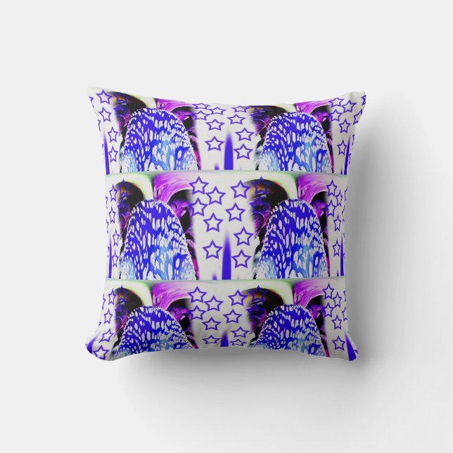 Coussin Nebula (Recto)