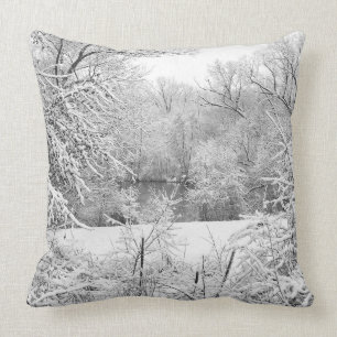 Coussin Neige D'Hiver À Huron River