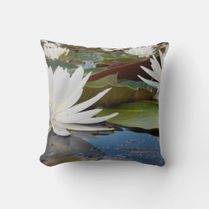 Coussin Nénuphar odorant (Nymphaea Odorata) sur Caddo