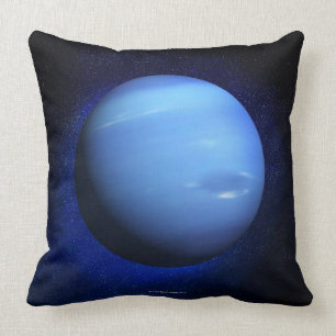 Coussin Neptune 3