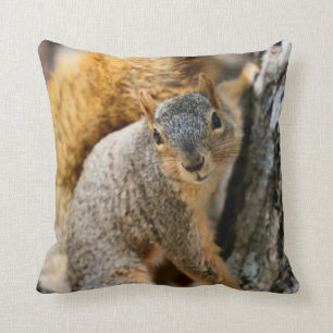 Coussin N'êtes-vous pas en train de venir ?