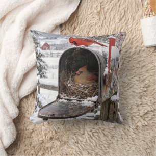 Coussin Nid de Cardinal dans une Boîte aux Lettres enneigé