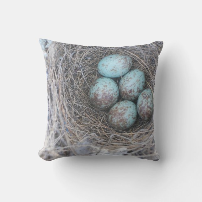 Coussin Nid moqueur d'oiseau avec des oeufs (Recto)