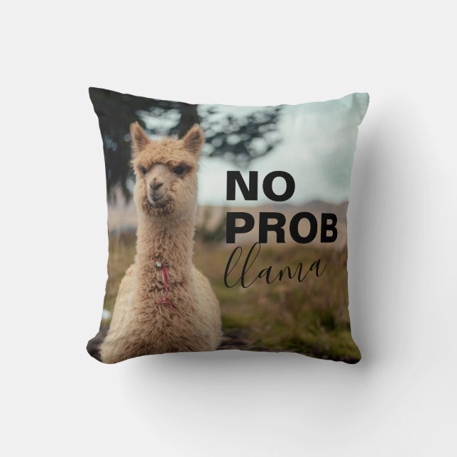 Coussin No Prob Llama - Llama Drama Fun (Recto)