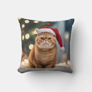 Coussin Noël Exotique Shorthair