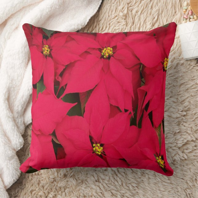 Coussin Noël Poinsettia (Couverture)