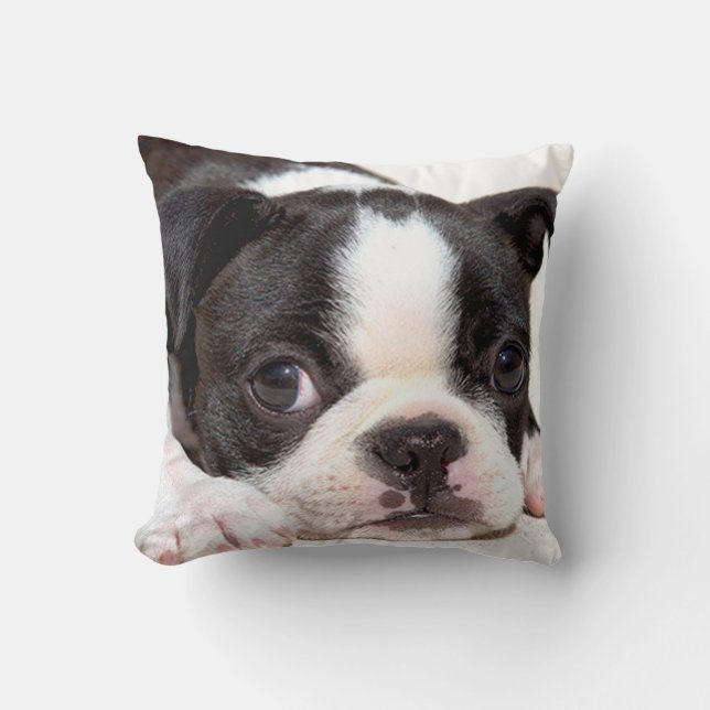 Coussin noir et blanc de chiot de Boston Terrier (Recto)