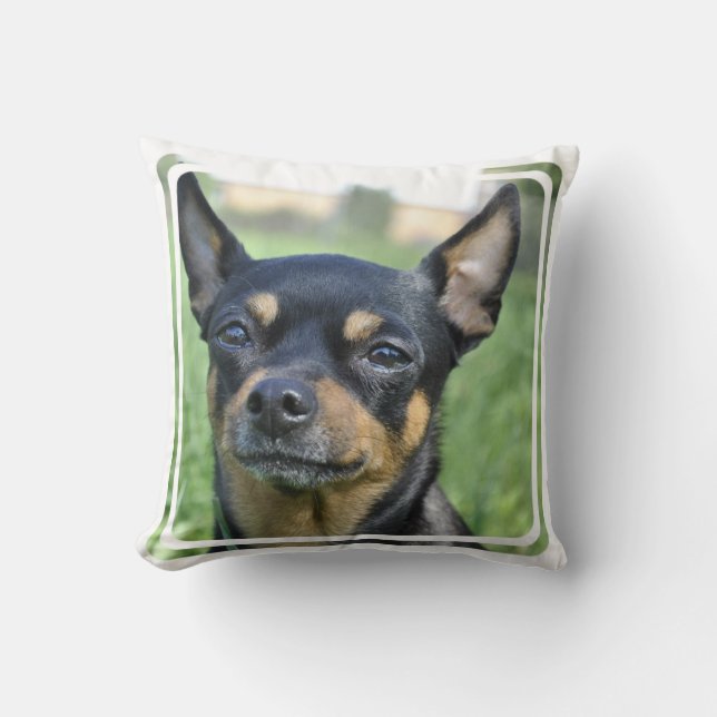 Coussin noir et Brown de chiwawa (Recto)