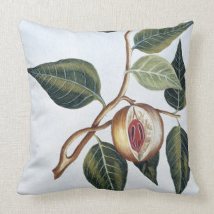 Coussin Noix de muscade, plat 7, de 'collection Precieuse