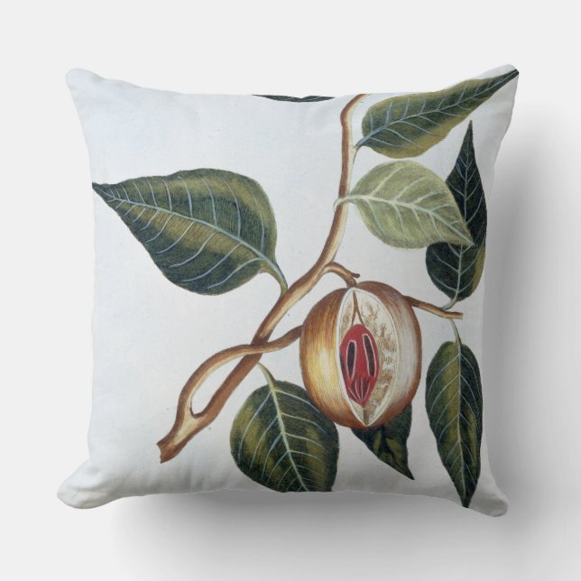 Coussin Noix de muscade, plat 7, de 'collection Precieuse (Recto)