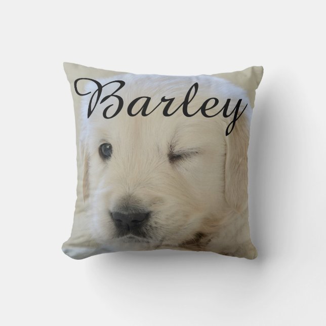 Coussin Nom simple et élégant chic moderne pour animal de  (Recto)