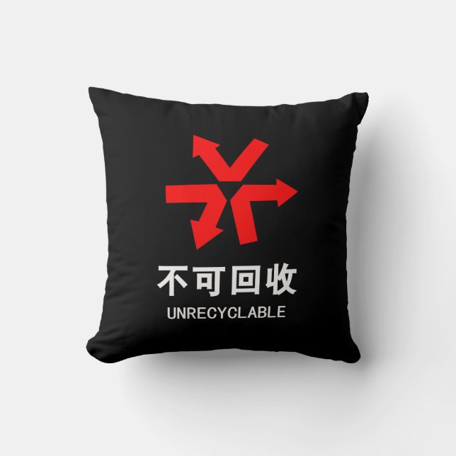Coussin Non recyclable ~ Signe chinois langue Hanzi (Recto)