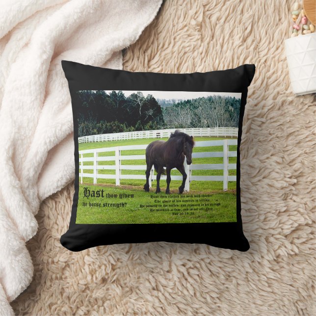 Coussin Nonesuch à Cedar Point avec Job 39 (Couverture)