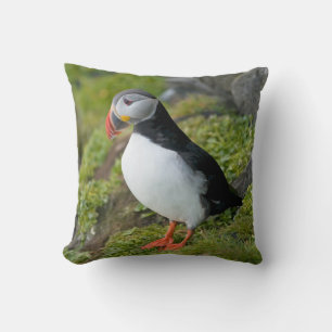 Coussin Norvège, Archipel de Svalbard, Spitsbergen 9