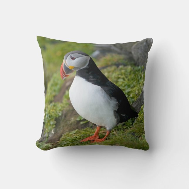 Coussin Norvège, archipel de Svalbard, Spitsbergen 9 (Recto)