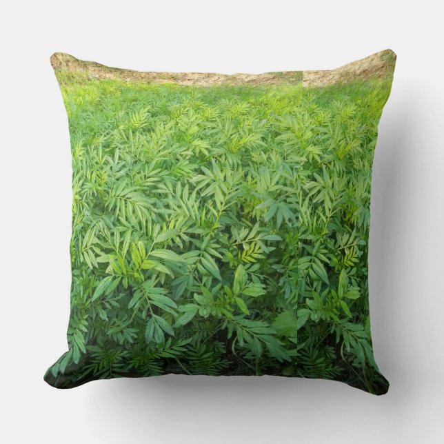 Coussin Nouveau but (Recto)