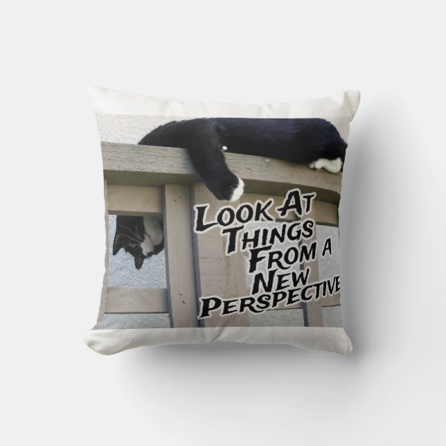 Coussin Nouvelle perspective Encouragement Chat Photo Art (Recto)