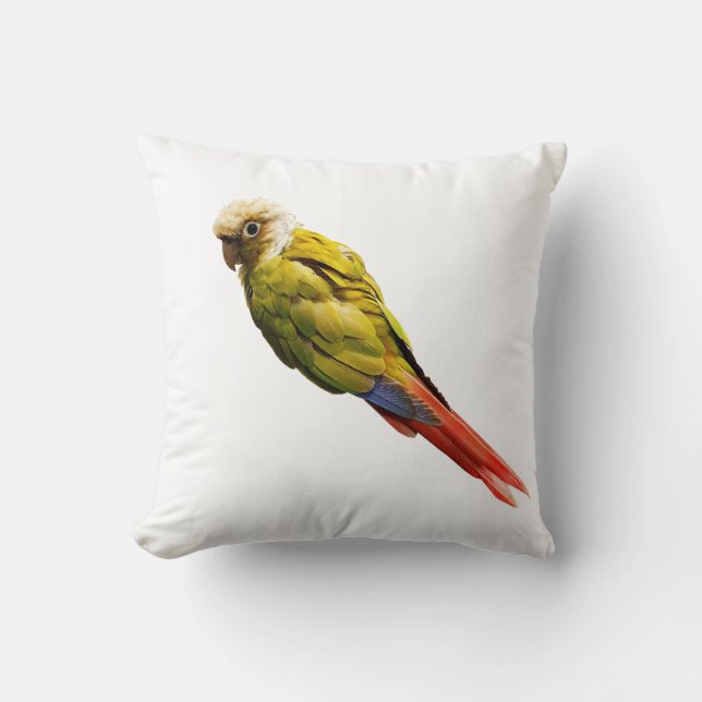 Coussin Numchoke n'est pas un oiseau (Recto)