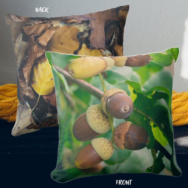 Coussin Oak branches with acorns (Créateur téléchargé)